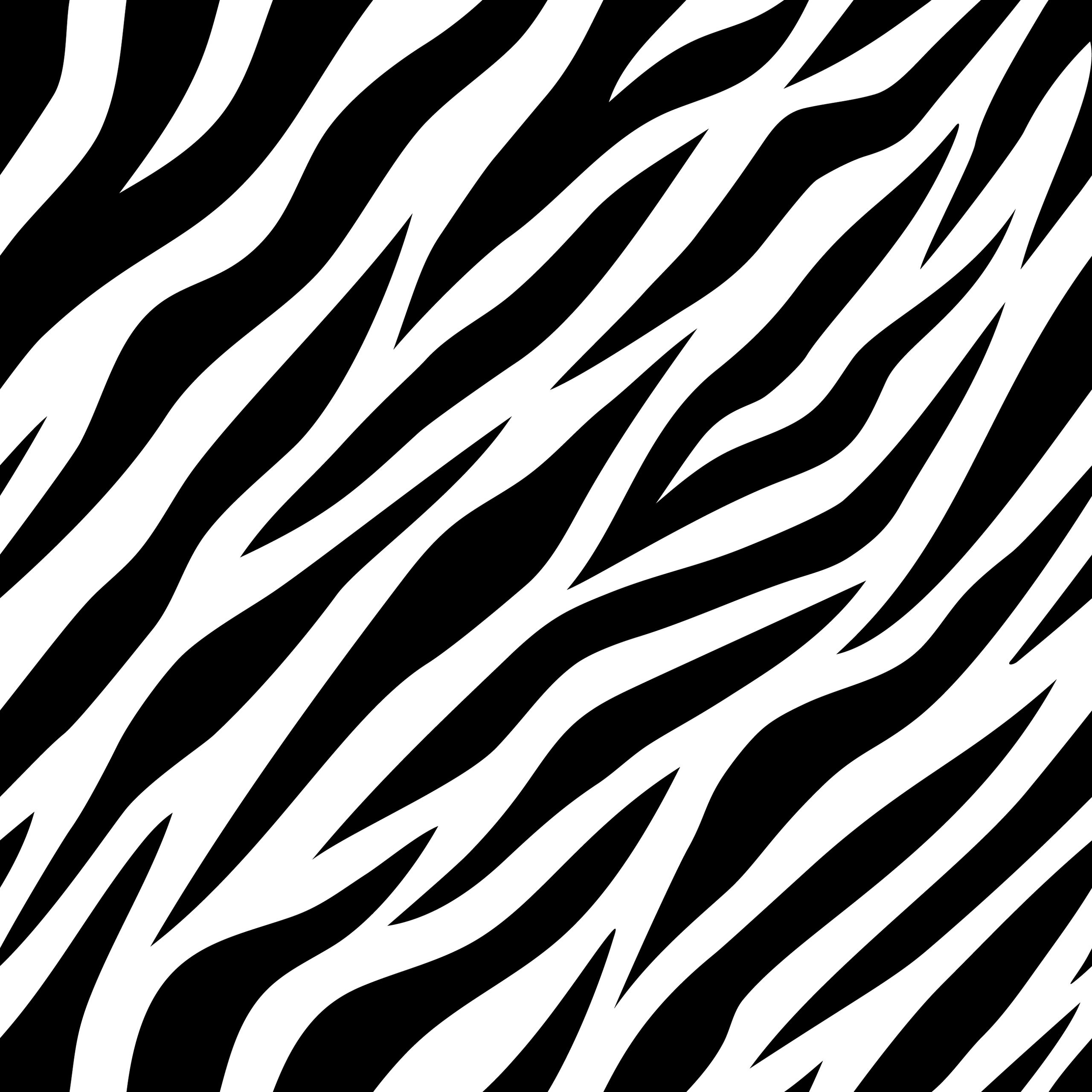 Black and white tiger pattern illustration