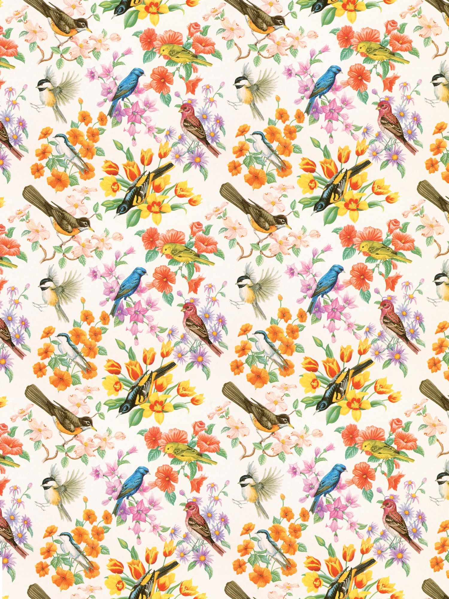 Bird pattern illustration