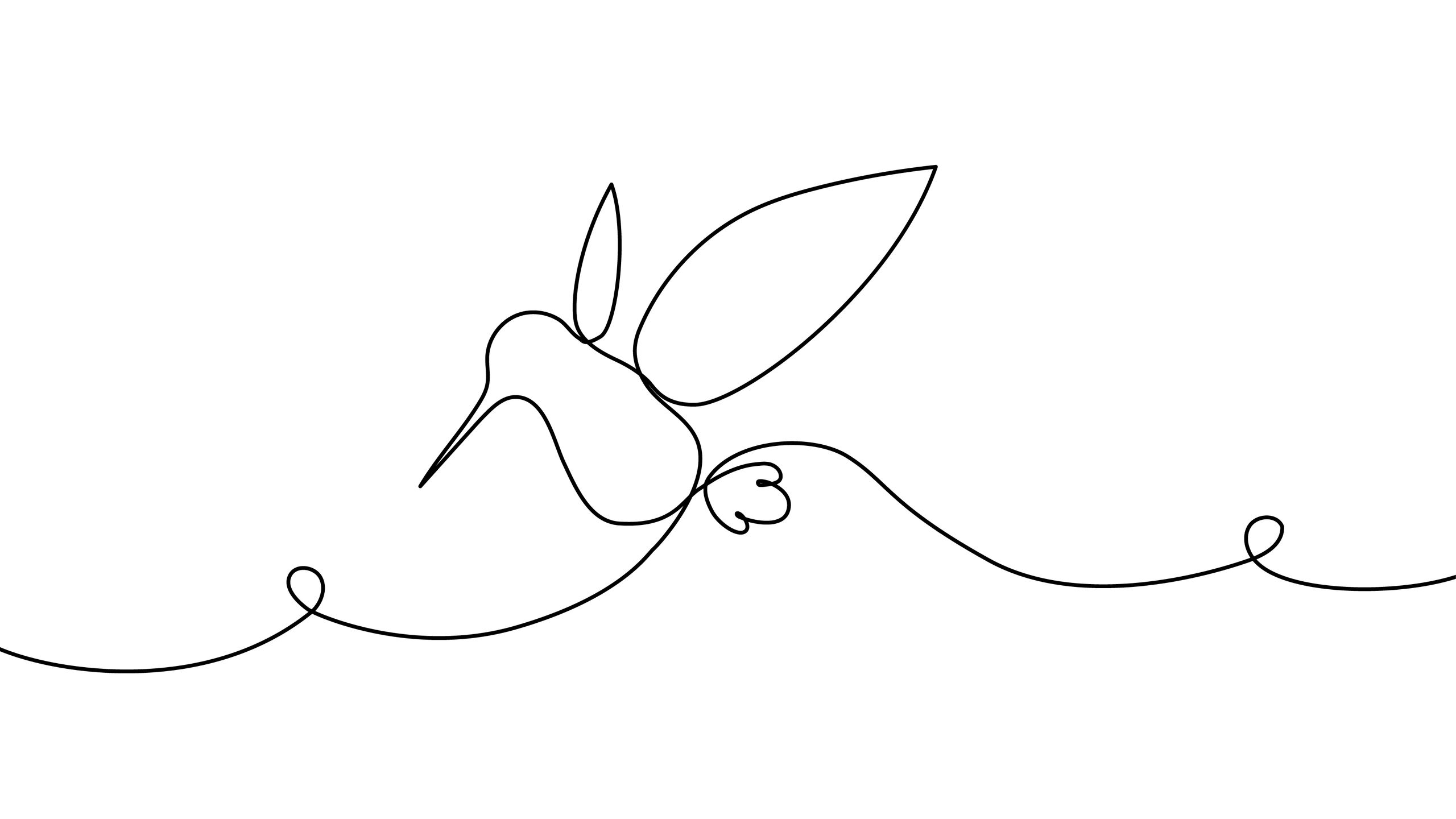 Abstract hummingbird logo artwork